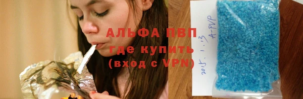 стаф Сосновый Бор