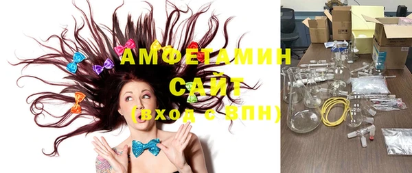 стаф Сосновый Бор